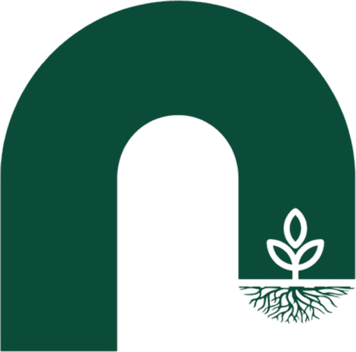Ngrafi